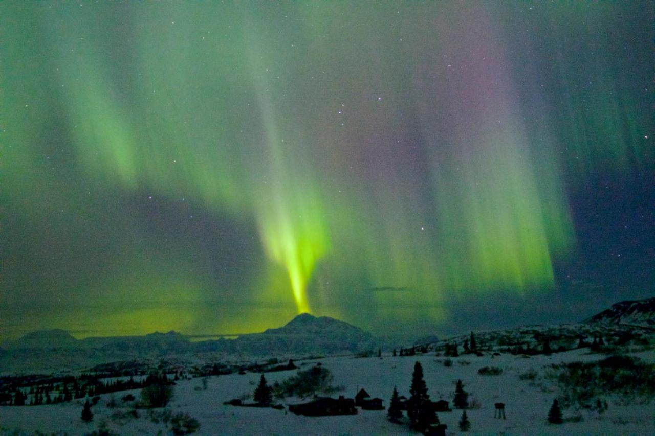 Caribou Lodge Alaska Talkeetna Exterior photo