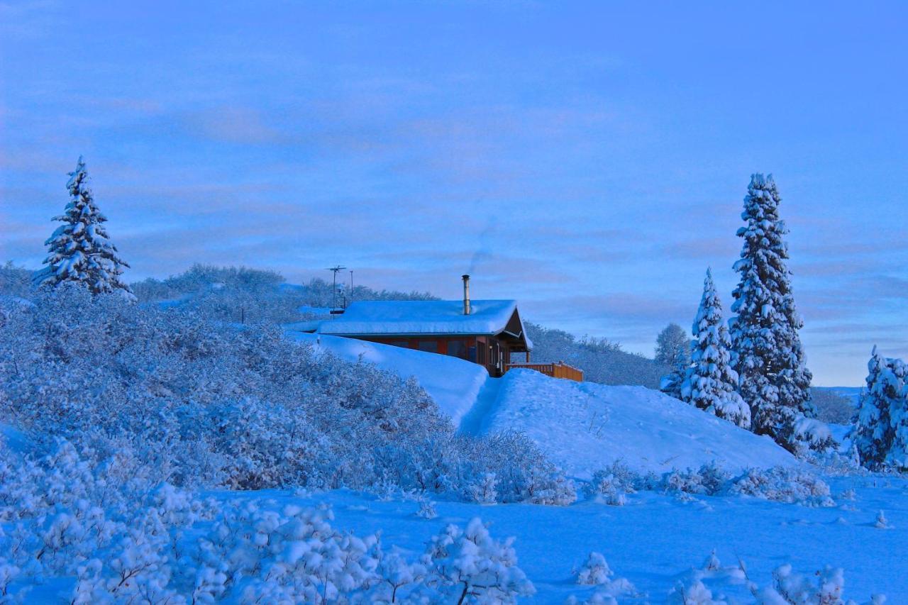 Caribou Lodge Alaska Talkeetna Exterior photo